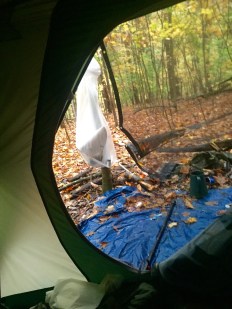 The view from inside my tent.